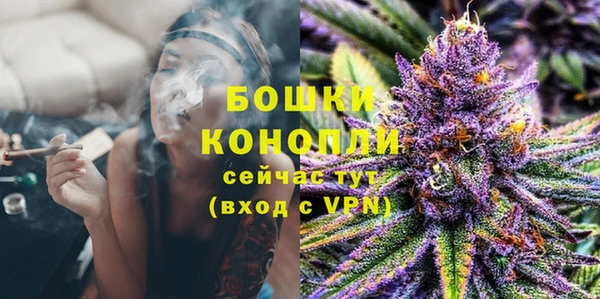 PSILOCYBIN Елизово