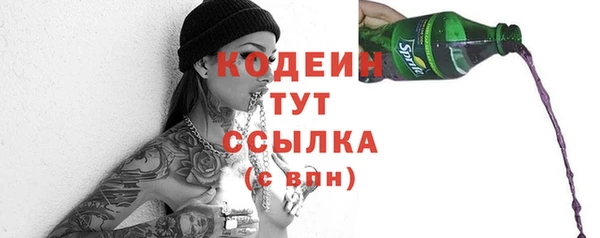 мдпв Пестово