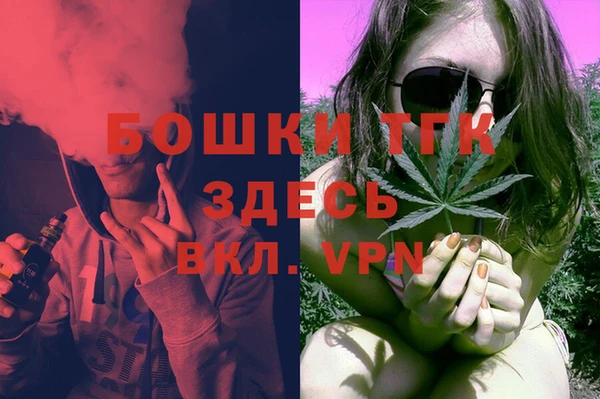 мдпв Пестово
