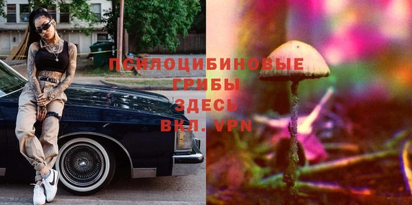мдпв Пестово