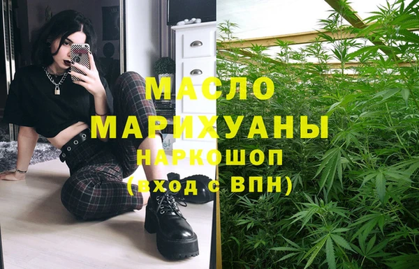 мдпв Пестово