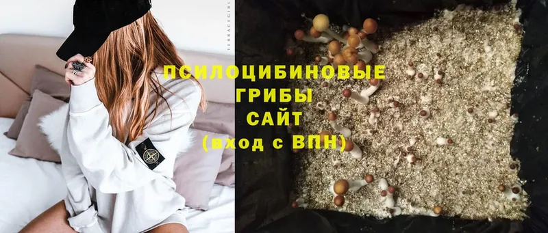 цены наркотик  Коммунар  площадка как зайти  Псилоцибиновые грибы Magic Shrooms  мега сайт 