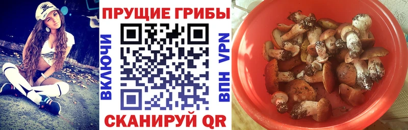 Псилоцибиновые грибы Magic Shrooms  сколько стоит  Коммунар 