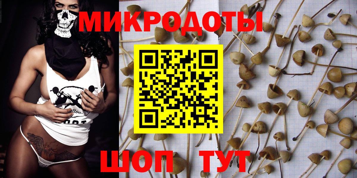 Псилоцибиновые грибы прущие грибы  Коммунар  Псилоцибиновые грибы MAGIC MUSHROOMS 