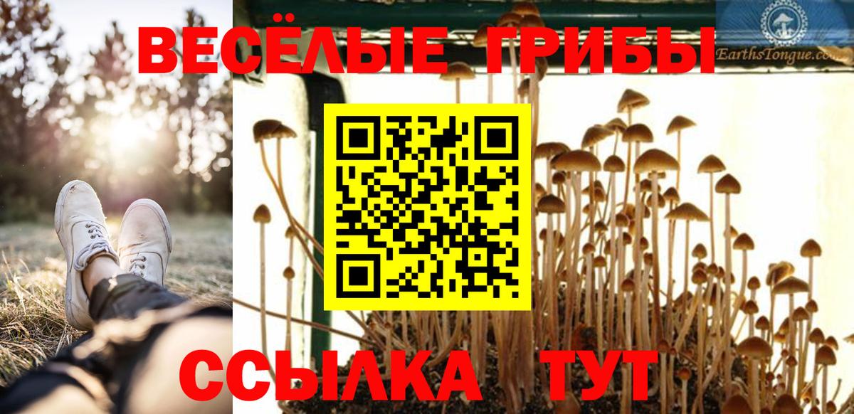 Коммунар  Псилоцибиновые грибы Psilocybine cubensis  Вход с VPN 